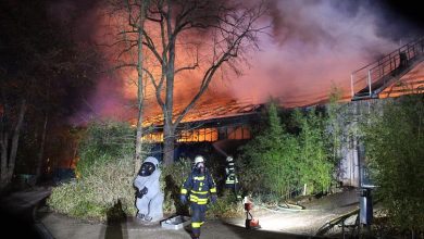 صورة أم وابنتيها وراء حريق أدى إلى نفوق عشرات الحيوانات في ألمانيا