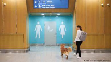 صورة مراحيض للحيوانات في مطار هلسنكي
