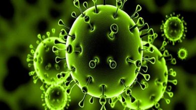 صورة باحث بلجيكي: فيروس كورونا الجديد أخطر مما نتصور