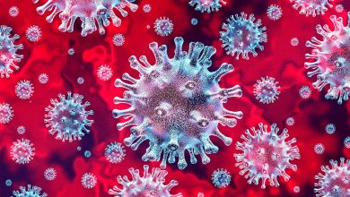 صورة الأمم المتحدة تحذر من استخدام الفيروس كـ”سلاح بيولوجي”