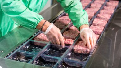صورة الثاني من نوعه.. كورونا يغلق مصنعا للحوم في هولندا