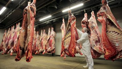 صورة مجدداً.. كورونا يجتاح مصنعاً للحوم في المانيا