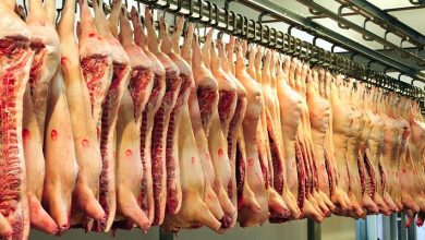 صورة هولندا تغلق ثالث معمل للحوم بسبب كورونا