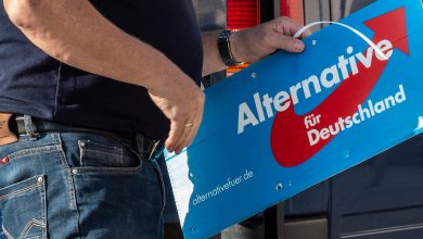 صورة “براندنبورغ” تضع حزب “البديل من أجل ألمانيا” تحت الرقابة