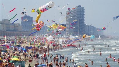 صورة بلديات الساحل البلجيكي تحظر السباحة وغرامات كبيرة للمخالفين