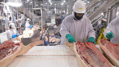 صورة كورونا يتفشى في مصنع للحوم في “ويلز” البريطانية