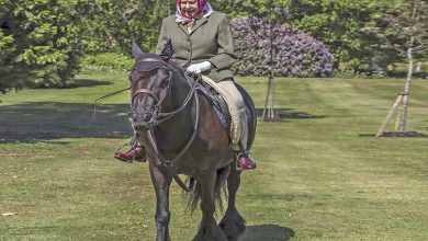 صورة بعمر 94 عاما .. ملكة بريطانيا على حصان في أول ظهور لها منذ أشهر