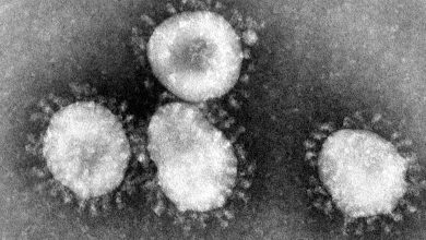 صورة تطبيق تعقب أعراض كورونا يحدد 6 أنواع للفيروس