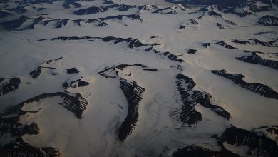 صورة القطب الشمالي يحترق.. الحرارة في “أرخبيل” نرويجي ترتفع لمستوي قياسي