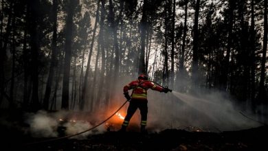 صورة رجال الإطفاء يسيطرون على حريق غابات هائل في البرتغال