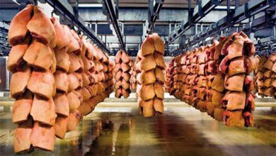 صورة كورونا يغلق أكبر شركة مصدرة للحوم الخنزير في أوروبا