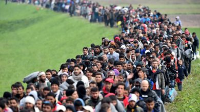 صورة نصفهم من السوريين.. ألمانيا تسجل نحو مليوني طلب لجوء
