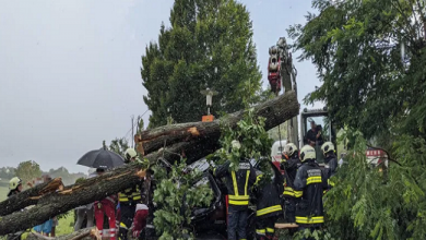 صورة النمسا.. مقتل 3 أشخاص في سقوط شجرة على حافلة صغيرة