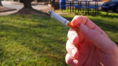 صورة براغ تمنع التدخين في المتنزهات والحدائق.. والسبب ليس الصحة