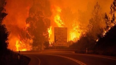 صورة حريق غابات ضخم في إسبانيا .. وإجلاء آلاف السكان