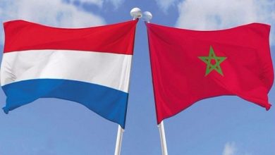 صورة هولندا تمنع دخول المسافرين القادمين من المغرب