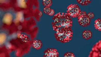 صورة دراسة بريطانية: المناعة ضد كورونا قد تستمر أشهر قليلة بعد الإصابة