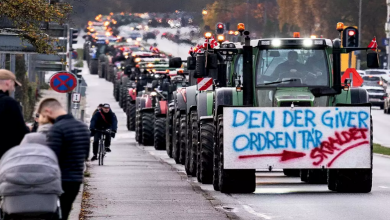 صورة بواسطة الجرارات.. احتجاجات في الدنمارك ضد قرار السلطات إعدام حيوانات “المنك”