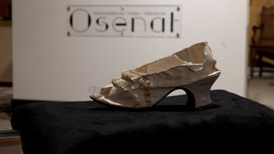 صورة فرنسا.. بيع حذاء الملكة “ماري أنطوانيت” بأكثر من 40 ألف يورو