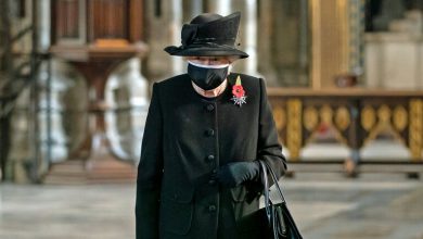 صورة لأول مرة.. ملكة بريطانيا ترتدي الكمامة
