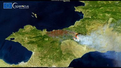 صورة تحذيرات من كارثة بيئية.. حرائق الغابات في اليونان تتواصل لليوم الرابع “فيديو”