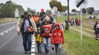 صورة الحكومة النمساوية: نستعد لمواجهة موجة جديدة من اللاجئين