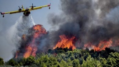 صورة فرار سكان قرى وسياح بسبب حرائق الغابات في اليونان