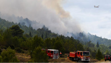 صورة حرائق غابات في فرنسا تتسبب بانقطاع الكهرباء عن مئات الآلاف من الإسبان
