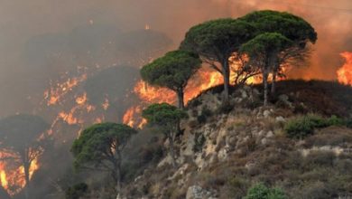 صورة إيطاليا .. مئات الحرائق في الجنوب و عواصف وأمطار بالشمال