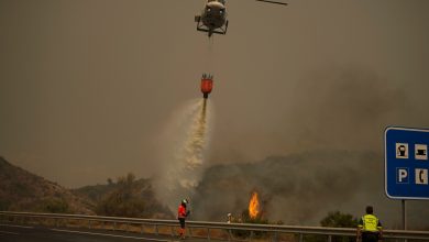 صورة حريق غابات ضخم في جنوب إسبانيا.. وإجلاء نحو ألف شخص