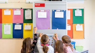 صورة النمسا تعلن تنظيم آلاف ورش العمل في المدارس لمكافحة التطرف