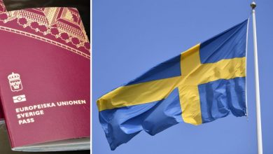 صورة أكثر من 27 ألف سوري حصلوا على الجنسية السويدية خلال 2021