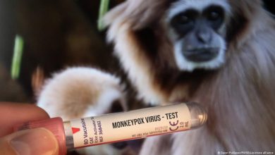 صورة شركة أوروبية تعلن توافر كميات كافية من لقاح “جدري القردة”