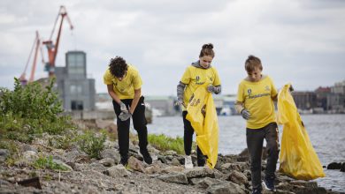 صورة 50 ألف شخص يشاركون في حملة واسعة لتنظيف الشواطئ بالسويد