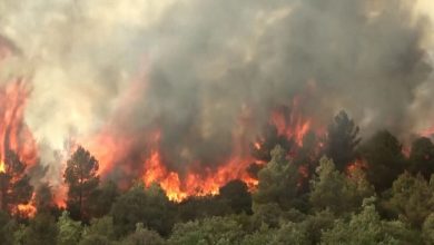 صورة وسط ارتفاع قياسي للحرارة.. اندلاع حرائق هائلة في غابات إسبانيا