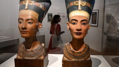 صورة يستكشف أسرار مصر.. افتتاح معرض “النجوم الفراعنة” في فرنسا