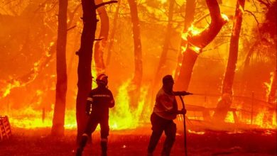 صورة اليونان.. اندلاع حرائق غابات وإجلاء سياح وسكان في جزيرة ليسبوس “فيديو”