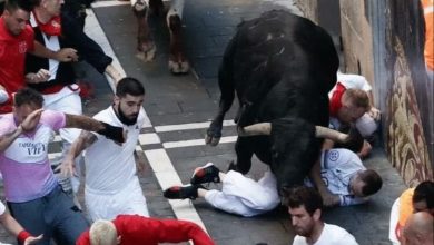 صورة إصابة نحو 20 شخصا في مهرجان للثيران بإسبانيا “فيديو”