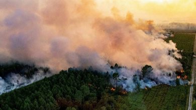 صورة الحرائق تلتهم 17 ألف هكتار من الغابات في فرنسا.. واستمرار الموجة الحارة