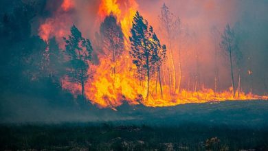 صورة وسط استمرار عمليات الإجلاء.. حرائق الغابات تستعر في فرنسا