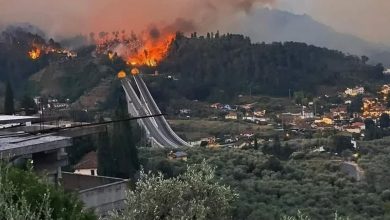 صورة موجة الحر تشتد في إيطاليا.. وحرائق الغابات ترهق رجال الإطفاء