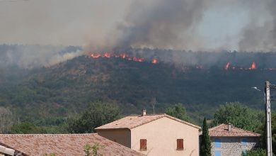 صورة حريق غابات متعمد يدمر ألف هكتار جنوب فرنسا