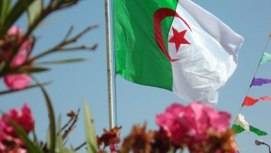 صورة ماكرون يهنئ الجزائر في الذكرى الـ 60 للاستقلال عن فرنسا