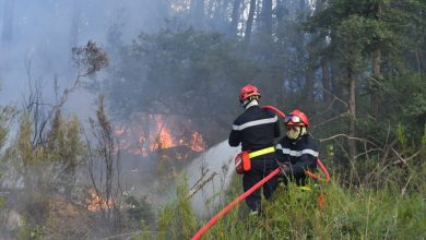 صورة السيطرة على حريق غابات في جنوب فرنسا