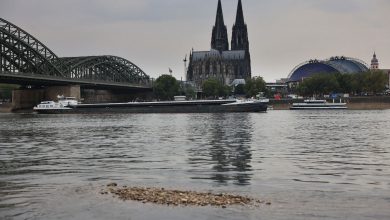 صورة بعد تراجع قياسي.. منسوب نهر الراين في ألمانيا يعاود الارتفاع