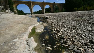 صورة أوروبا تعاني من جفاف هو الأسوأ منذ 5 قرون