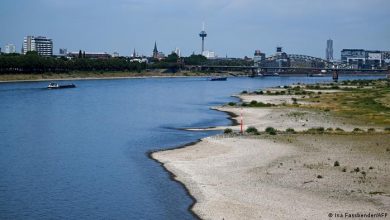 صورة الجفاف في أوروبا.. انخفاض قياسي في مياه نهر الراين بألمانيا