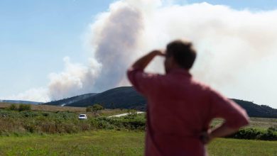 صورة فرنسا.. موجة حر جديدة واندلاع حرائق الغابات في غرب البلاد