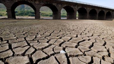 صورة رسميا.. بريطانيا تعلن حالة الجفاف وتفرض قيودا على استخدام المياه
