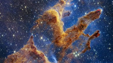 صورة فيديو.. تلسكوب جيمس ويب يكشف صورة مذهلة لـ”أعمدة الخلق”